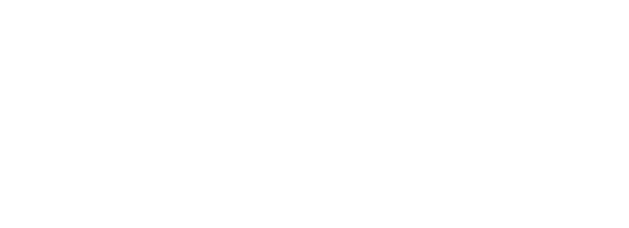 TheBridgeaccelerator